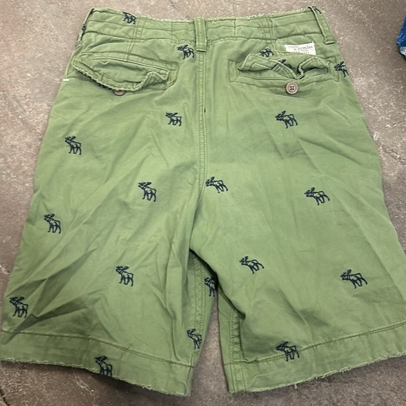 Abercrombie & Fitch vintage y2k Green Shorts with Moose Embroidery - Picture 5 of 9